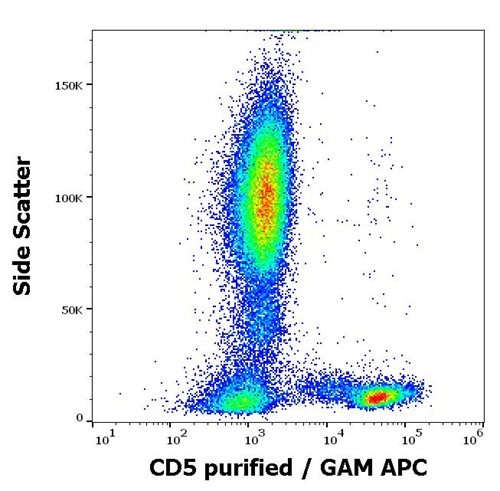 Anti-Hu CD5 Purified