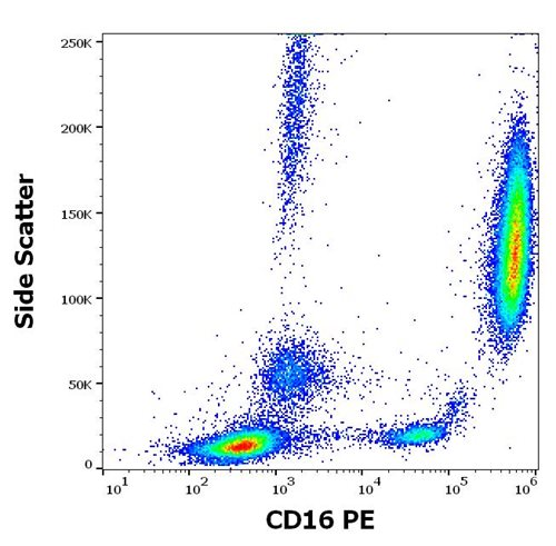 Anti-Hu CD16 PE
