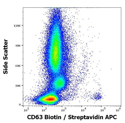 Anti-Hu CD63 Biotin