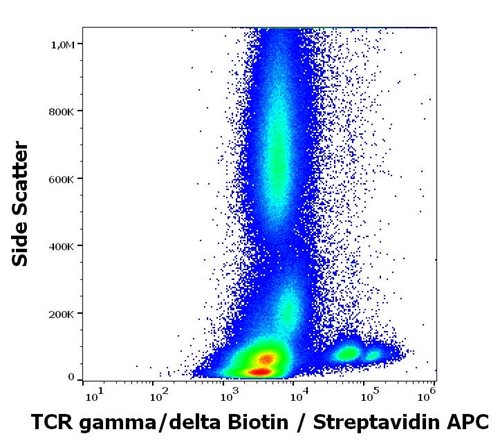 Anti-Hu TCR gamma/delta Biotin