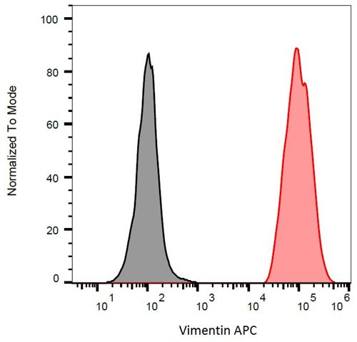 Anti-Vimentin APC