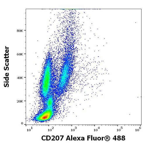 Anti-Hu CD207 Alexa Fluor<sup>®</sup> 488