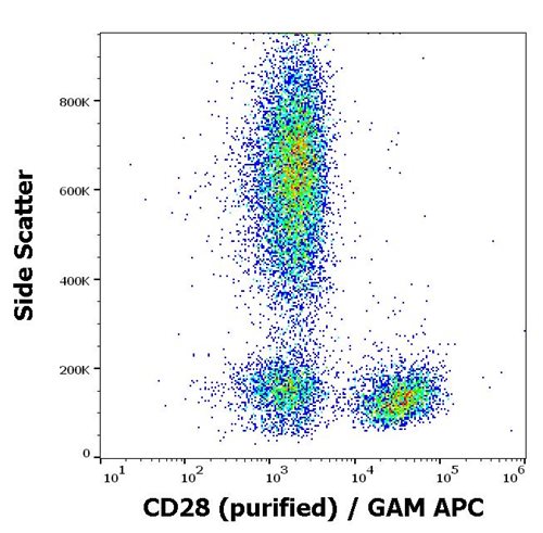 Anti-Hu CD28 Purified