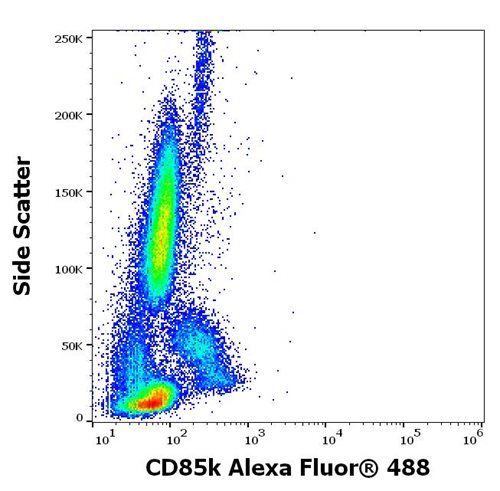 Anti-Hu CD85k Alexa Fluor<sup>®</sup> 488