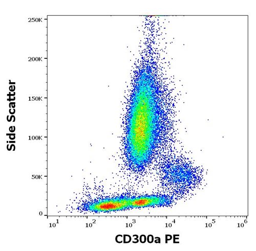 Anti-Hu CD300a PE