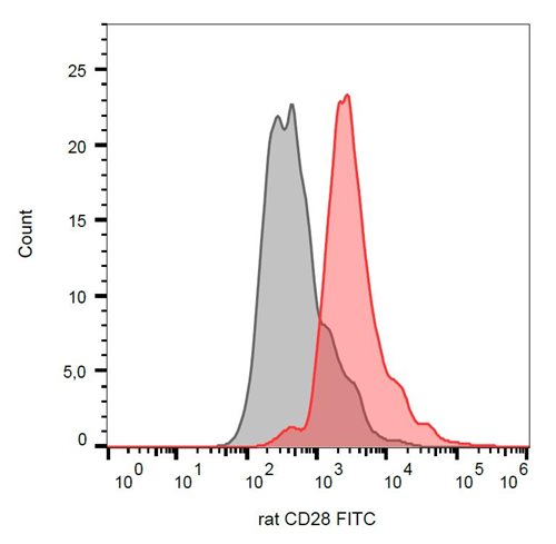 Anti-Rt CD28 FITC