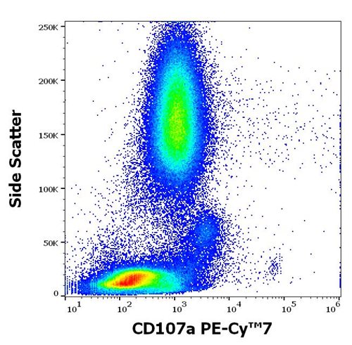 Anti-Hu CD107a PE-Cy™7