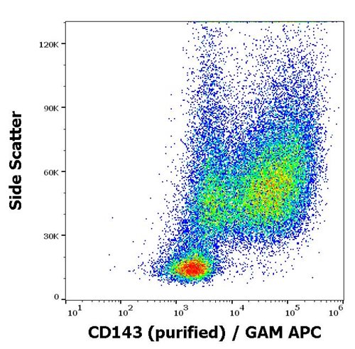 Anti-Hu CD143 Purified