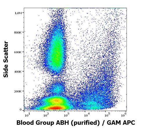 Anti-Blood Group ABH Purified