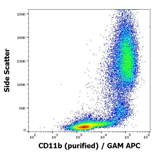 Anti-Hu CD11b Purified