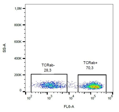 Anti-Hu TCR alpha/beta Biotin