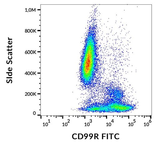 Anti-Hu CD99R FITC