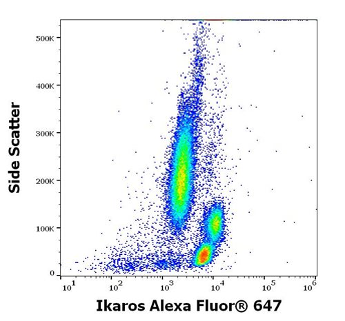 Anti-Ikaros Alexa Fluor<sup>®</sup> 647