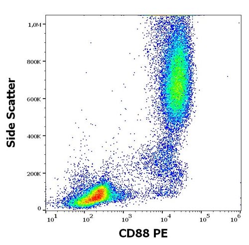 Anti-Hu CD88 PE