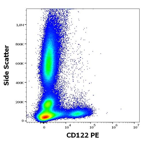 Anti-Hu CD122 PE