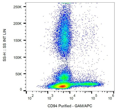 Anti-Hu CD94 Purified