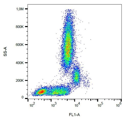 Anti-Hu CD31 FITC