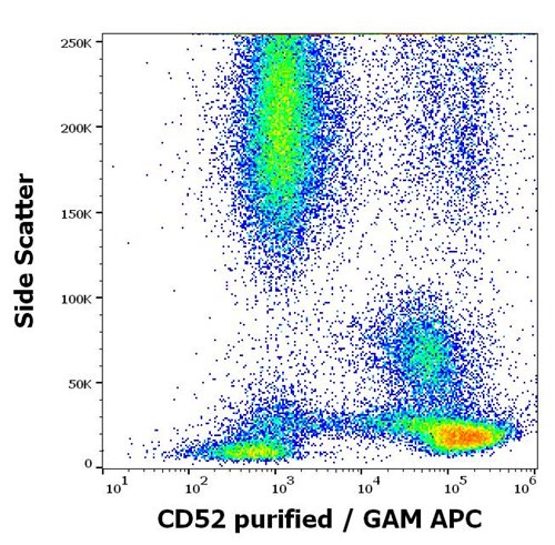 Anti-Hu CD52 Purified
