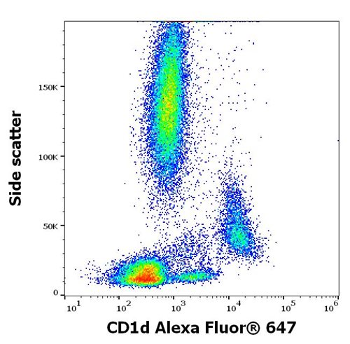 Anti-Hu CD1d Alexa Fluor<sup>®</sup> 647