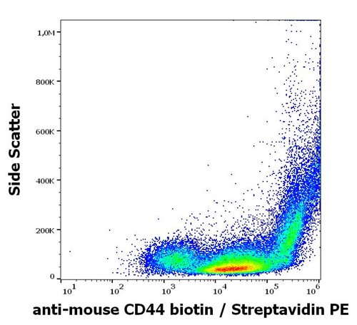 Anti-Ms CD44 Biotin