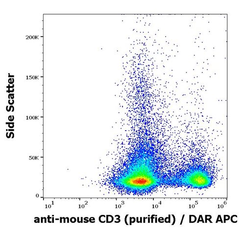 Anti-Ms CD3 Purified