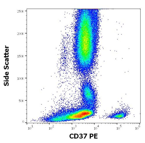 Anti-Hu CD37 PE