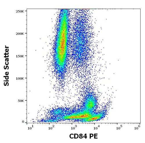 Anti-Hu CD84 PE