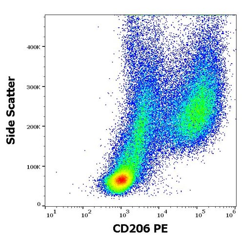 Anti-Hu CD206 PE