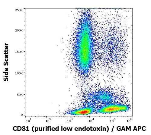 Anti-Hu CD81 Purified Low Endotoxin