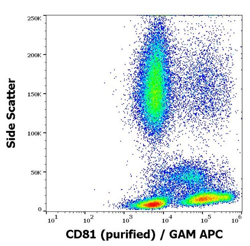 Anti-Hu CD81 Purified