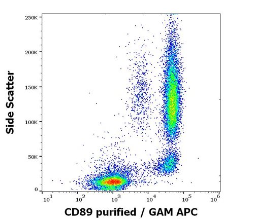 Anti-Hu CD89 Purified