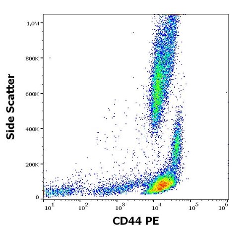 Anti-Hu CD44 PE