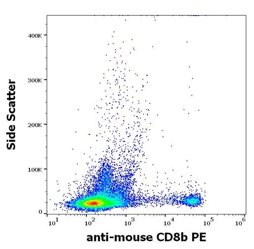 Anti-Ms CD8b PE