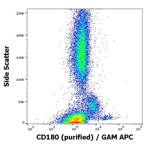 Anti-Hu CD180 Purified