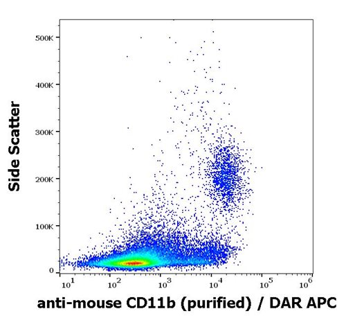 Anti-Ms CD11b Purified