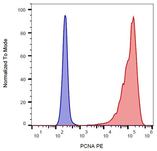 Anti-PCNA PE