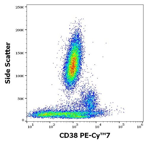 Anti-Hu CD38 PE-Cy™7