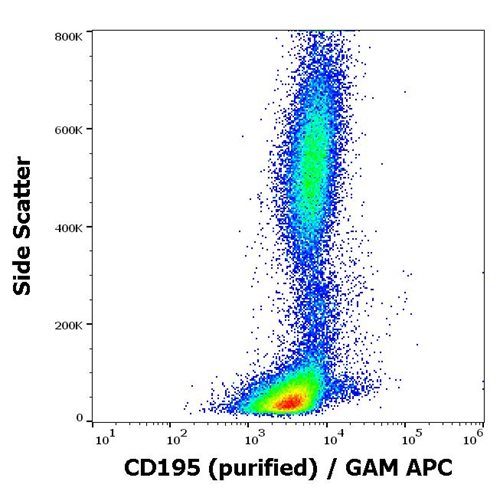 Anti-Hu CD195 Purified