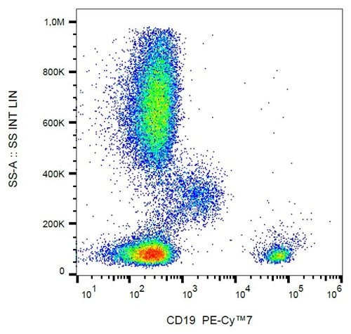 Anti-Hu CD19 PE-Cy™7