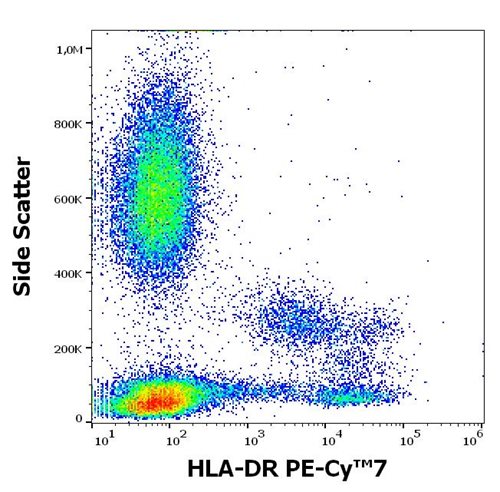 Anti-HLA-DR PE-Cy™7