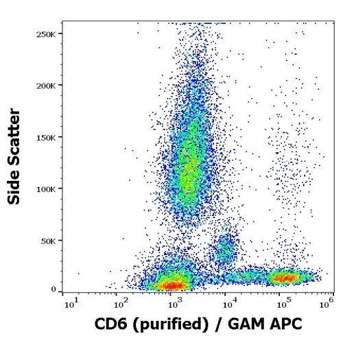 Anti-Hu CD6 Purified