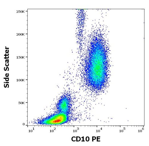 Anti-Hu CD10 PE