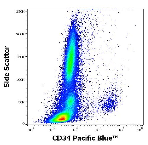 Anti-Hu CD34 Pacific Blue™