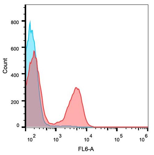 Anti-Ms CD3 APC