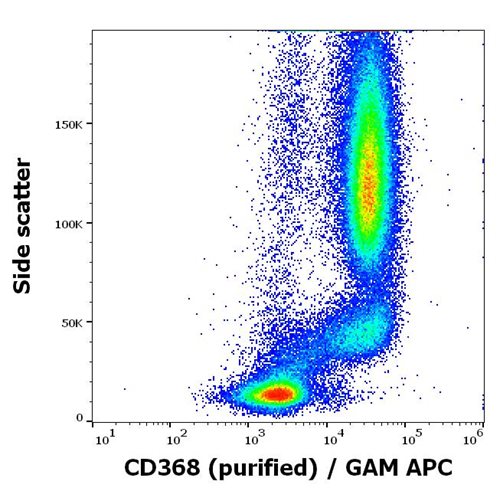 Anti-Hu CD368 Purified