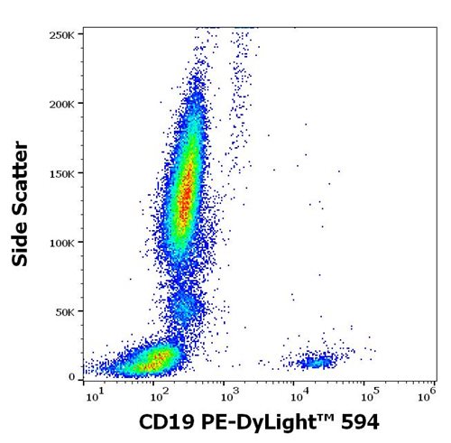 Anti-Hu CD19 PE-DyLight™ 594