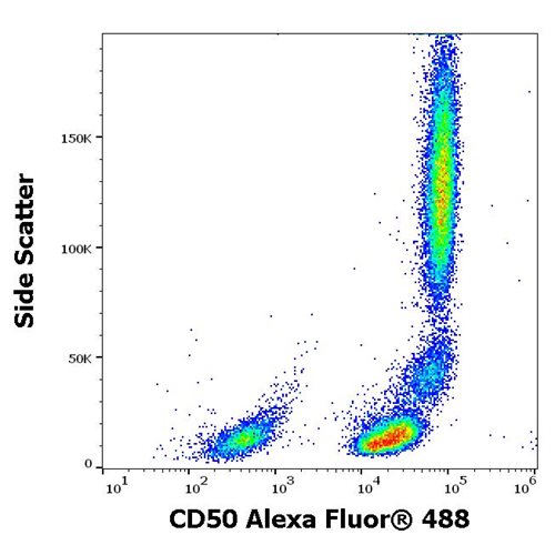 Anti-Hu CD50 Alexa Fluor<sup>®</sup> 488