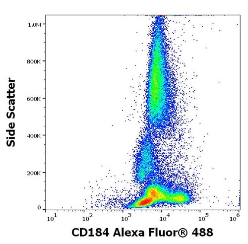 Anti-Hu CD184 Alexa Fluor<sup>®</sup> 488