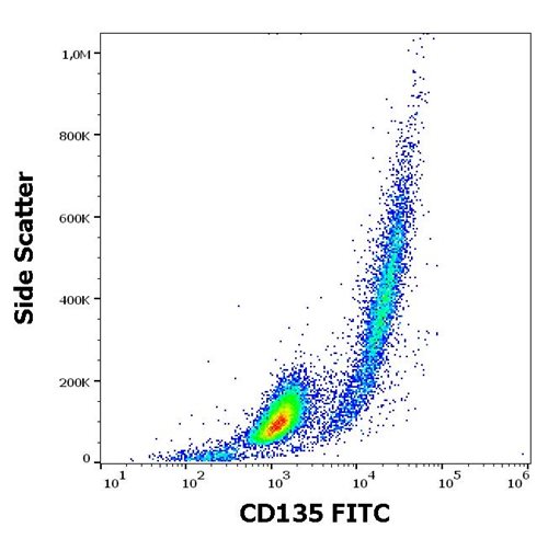 Anti-Hu CD135 FITC