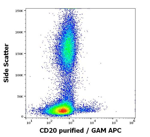 Anti-Hu CD20 Purified Azide Free